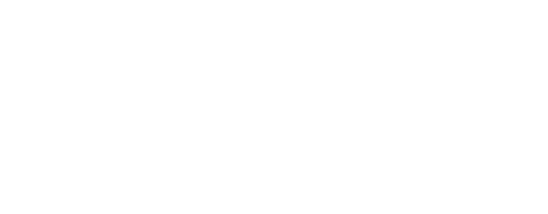 logotipo dragon blanco